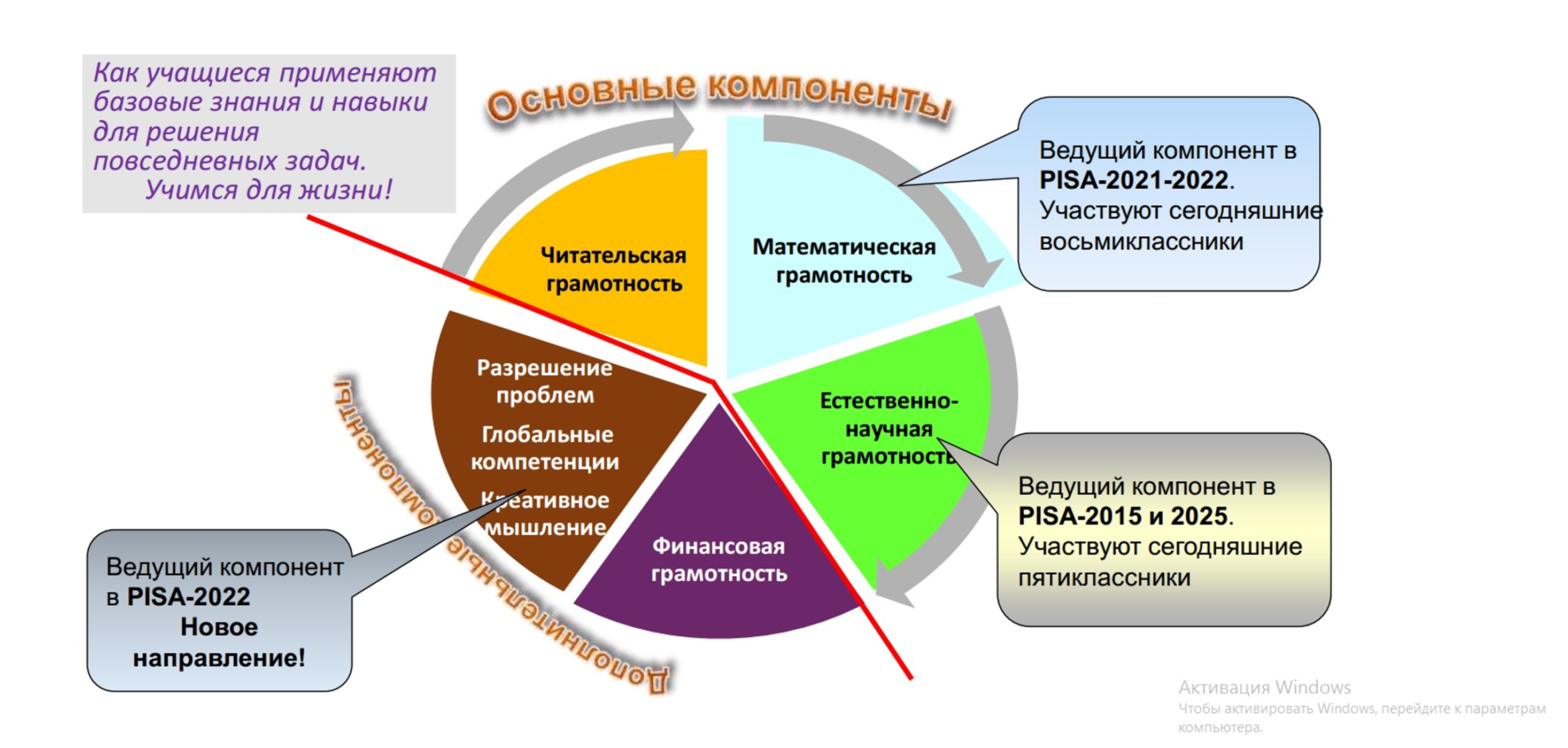 Функциональная грамотность в каком международном исследовании