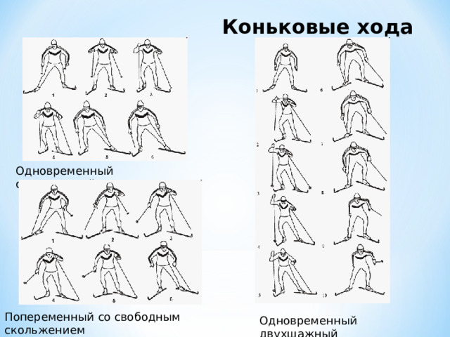 Коньковые хода Одновременный одношажный Попеременный со свободным скольжением Одновременный двухшажный 