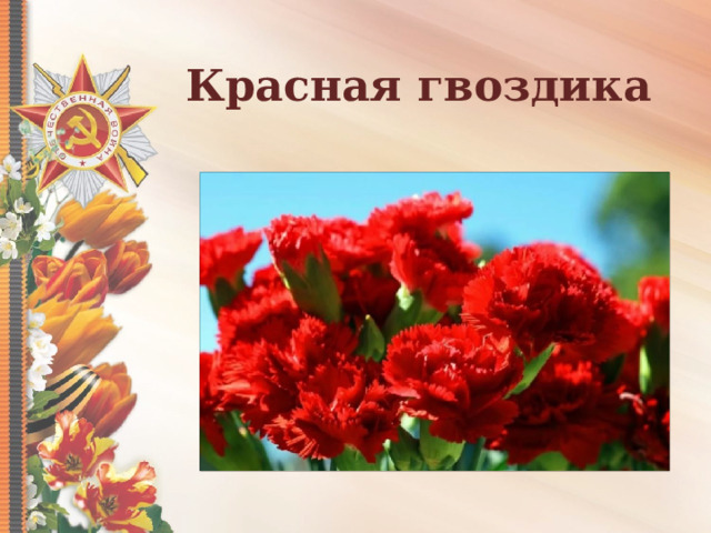 Красная гвоздика 