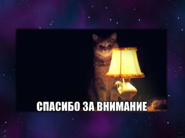 Спасибо за внимание котик для презентации