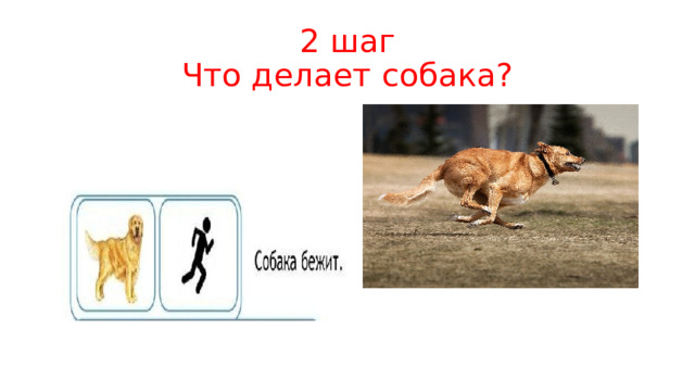 2 шаг  Что делает собака? 