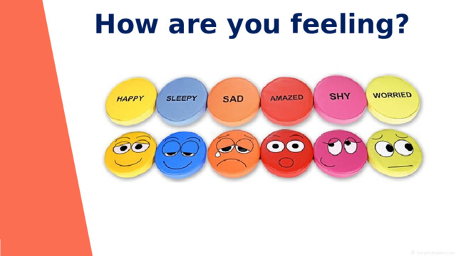 How are you feeling ? 