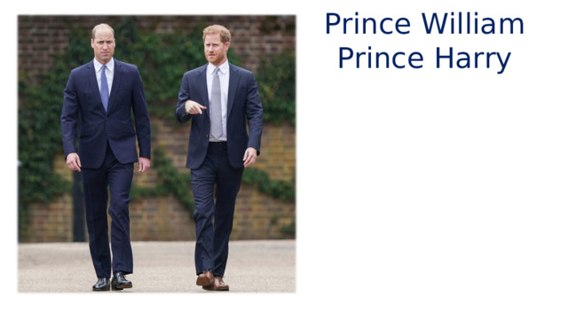 Prince William Prince Harry 