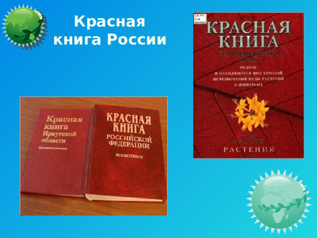  Красная  книга России 