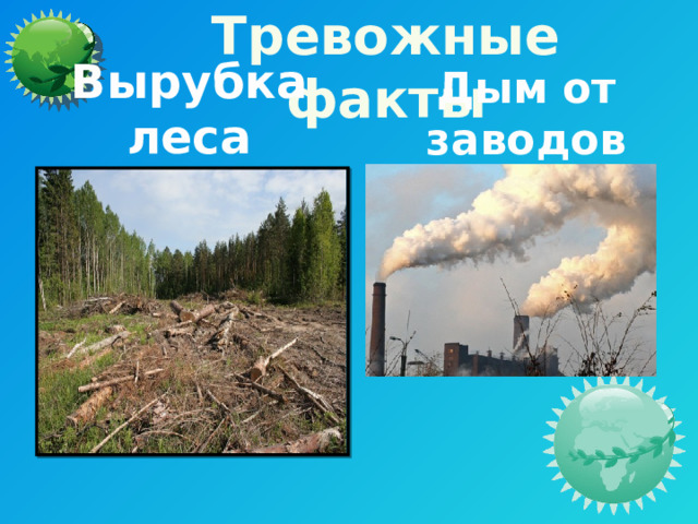 Тревожные факты Вырубка леса Дым от заводов 