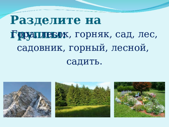 Разделите на группы: Гора, лесок, горняк, сад, лес, садовник, горный, лесной, садить. 