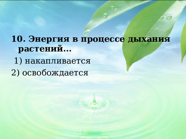 10. Энергия в процессе дыхания растений...   1) накапливается 2) освобождается 