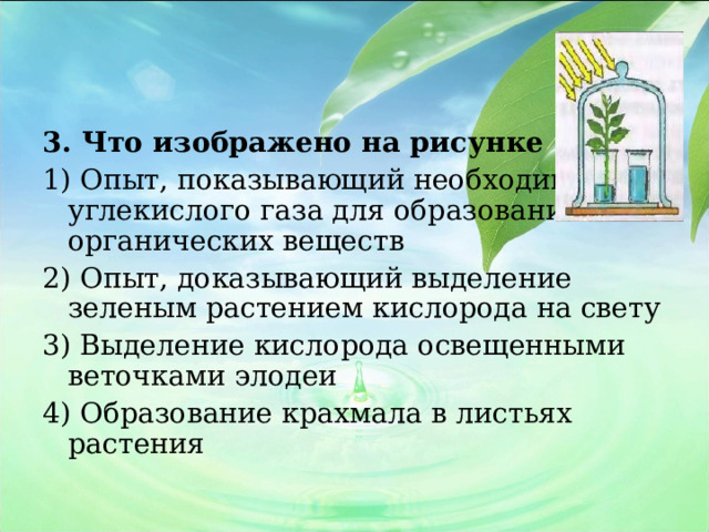 3. Что изображено на рисунке 1) Опыт, показывающий необходимость углекислого газа для образования органических веществ 2) Опыт, доказывающий выделение зеленым растением кислорода на свету 3) Выделение кислорода освещенными веточками элодеи 4) Образование крахмала в листьях растения  