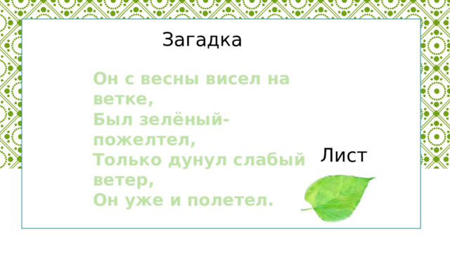    Загадка  Он с весны висел на ветке, Был зелёный-пожелтел, Только дунул слабый ветер, Он уже и полетел.   Лист 