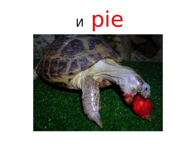  И pie И « pie »  летит ко рту…  