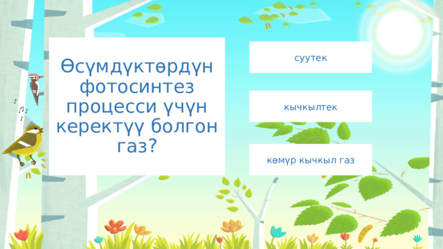 Өсүмдүктөрдүн фотосинтез процесси үчүн керектүү болгон газ? суутек кычкылтек көмүр кычкыл газ 