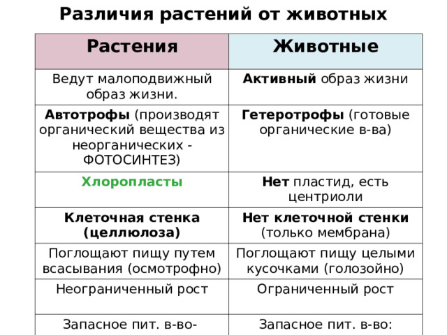 Различия растений от животных Растения Животные Ведут малоподвижный образ жизни. Активный образ жизни Автотрофы (производят органический вещества из неорганических - ФОТОСИНТЕЗ) Гетеротрофы (готовые органические в-ва) Хлоропласты Клеточная стенка (целлюлоза) Нет пластид, есть центриоли Нет клеточной стенки Поглощают пищу путем всасывания (осмотрофно) (только мембрана) Поглощают пищу целыми кусочками (голозойно) Неограниченный рост Ограниченный рост Запасное пит. в-во- глюкоза, крахмал Запасное пит. в-во: гликоген 