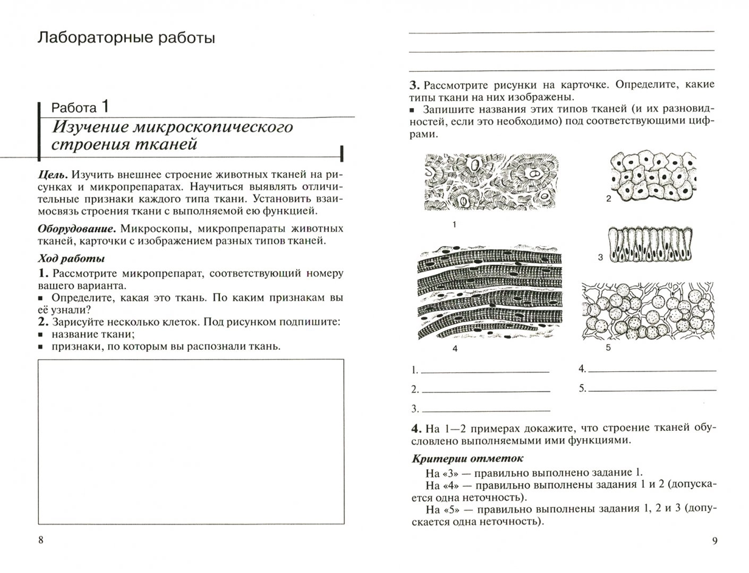 Лабораторная работа Ткани животных