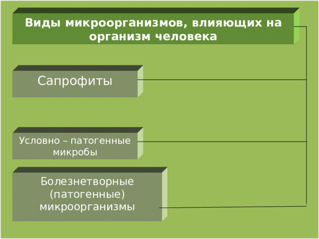 Виды микроорганизмов, влияющих на организм человека Сапрофиты Условно – патогенные микробы Болезнетворные (патогенные) микроорганизмы 