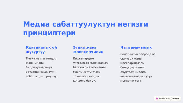 Медиа сабаттуулуктун негизги принциптери Критикалык ой жүгүртүү Этика жана жоопкерчилик Чыгармачылык Санариптик чөйрөдө өз оюңузду жана идеяларыңызды билдирүү менен өзүңүздүн медиа-контентиңизди түзүү мүмкүнчүлүгү. Маалыматты талдоо жана медиа билдирүүлөрүнүн артында жашыруун себептерди түшүнүү. Башкалардын укуктарын жана кадыр-баркын сыйлоо менен маалыматты жана технологияларды колдоно билүү.  