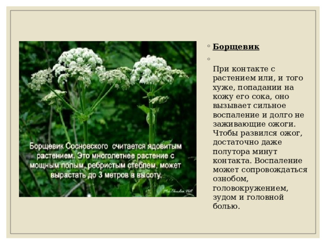 Сильное воспаление на большом пальце ноги. Шелушение, покраснение на большом пальце ног - Вопрос дерматологу - 03. Воспаление на большом пальце - Вопрос дерматологу - 03 Онлайн Болезненное образование на пальце ноги - Вопрос дерматологу - 03 Онлайн