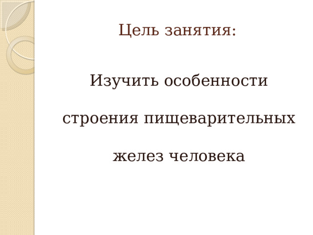 Цель занятия: Изучить особенности строения пищеварительных желез человека 