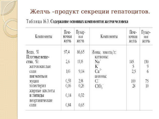 Желчь –продукт секреции гепатоцитов. 