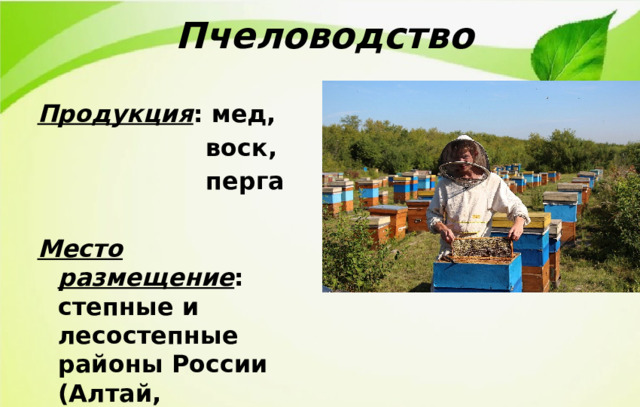 Пчеловодство Продукция : мед,  воск,  перга  Место размещение : степные и лесостепные районы России (Алтай, Башкирия) 