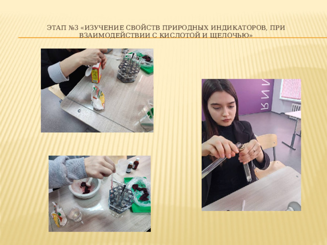 Этап №3 «Изучение свойств природных индикаторов, при взаимодействии с кислотой и щелочью» 