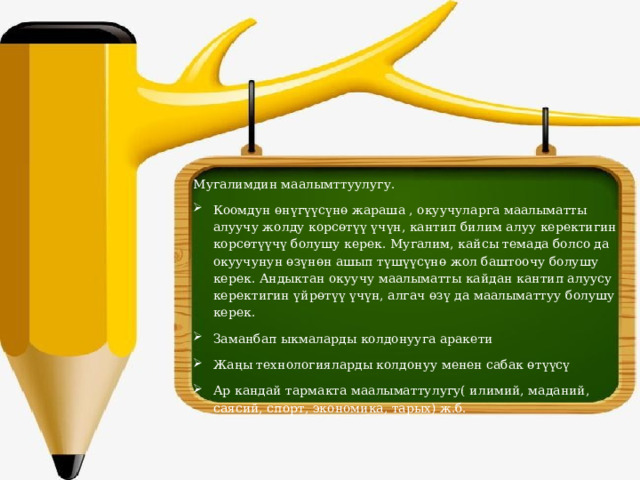 Мугалимдин маалымттуулугу. Коомдун өнүгүүсүнө жараша , окуучуларга маалыматты алуучу жолду корсөтүү үчүн, кантип билим алуу керектигин корсөтүүчү болушу керек. Мугалим, кайсы темада болсо да окуучунун өзүнөн ашып түшүүсүнө жол баштоочу болушу керек. Андыктан окуучу маалыматты кайдан кантип алуусу керектигин үйрөтүү үчүн, алгач өзү да маалыматтуу болушу керек. Заманбап ыкмаларды колдонууга аракети Жаңы технологияларды колдонуу менен сабак өтүүсү Ар кандай тармакта маалыматтулугу( илимий, маданий, саясий, спорт, экономика, тарых) ж.б. 