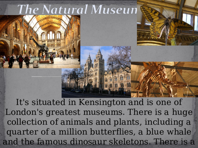 It's situated in Kensington and is one of London's greatest museums. There is a huge collection of animals and plants, including a quarter of a million butterflies, a blue whale and the famous dinosaur skeletons. There is a cafeteria, a gift shop, and a book shop. 