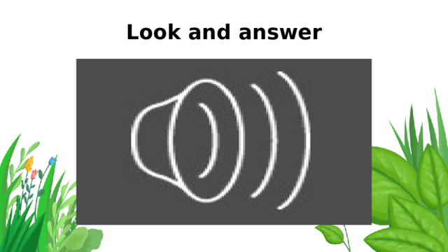 Look and answer 