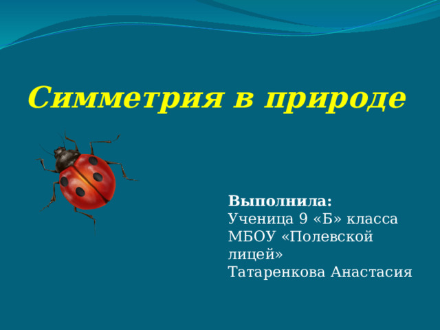 Симметрия в природе Выполнила: Ученица 9 «Б» класса МБОУ «Полевской лицей» Татаренкова Анастасия 