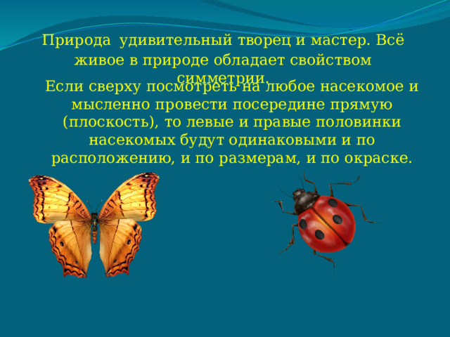Природа  удивительный творец и мастер. Всё живое в природе обладает свойством симметрии. Если сверху посмотреть на любое насекомое и мысленно провести посередине прямую (плоскость), то левые и правые половинки насекомых будут одинаковыми и по расположению, и по размерам, и по окраске. 