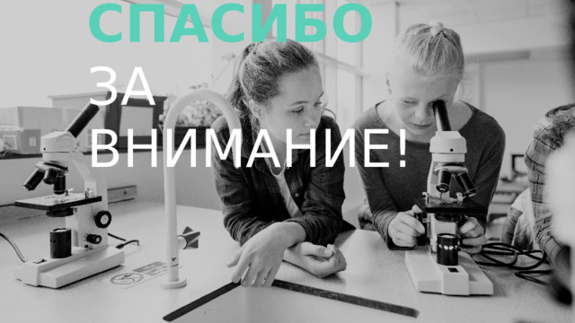 Спасибо  за внимание!  