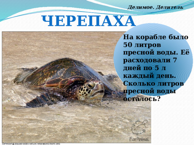 Делимое. Делитель черепаха На корабле было 50 литров пресной воды. Её расходовали 7 дней по 5 л каждый день. Сколько литров пресной воды осталось? 