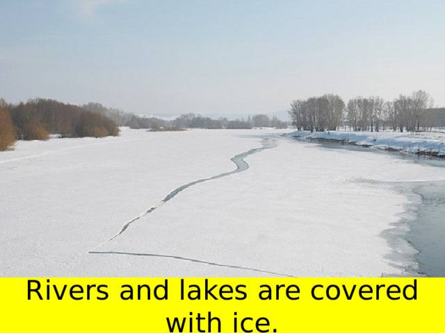 Rivers and lakes are covered with ice. 