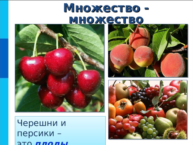 Множество  - множество Черешни и персики –  это плоды 10 