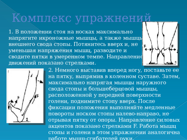 Комплекс упражнений 1. В положении стоя на носках максимально напрягите икроножные мышцы, а также мышцы внешнего свода стопы. Потянитесь вверх и, не уменьшая напряжения мышц, разводите и сводите пятки в умеренном темпе. Направление движений показано стрелками. 2. Немного выставив вперед ногу, поставьте ее на пятку, выпрямив в коленном суставе. Затем, максимально напрягая мышцы наружного свода стопы и большеберцовой мышцы, расположенной у передней поверхности голени, поднимите стопу вверх. После фиксации положения выполняйте медленные повороты носком стопы налево-направо, не отрывая пятку от опоры. Направление силовых акцентов показано стрелками F. Работа мышц стопы и голени в этом упражнении аналогична работе мышц-сгибателей руки. 