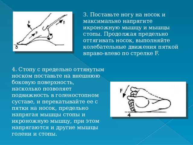 3. Поставьте ногу на носок и максимально напрягите икроножную мышцу и мышцы стопы. Продолжая предельно оттягивать носок, выполняйте колебательные движения пяткой вправо-влево по стрелке F. 4. Стопу с предельно оттянутым носком поставьте на внешнюю боковую поверхность, насколько позволяет подвижность в голеностопном суставе, и перекатывайте ее с пятки на носок, предельно напрягая мышцы стопы и икроножную мышцу, при этом напрягаются и другие мышцы голени и стопы. 