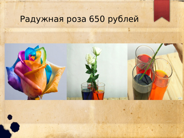 Радужная роза 650 рублей 