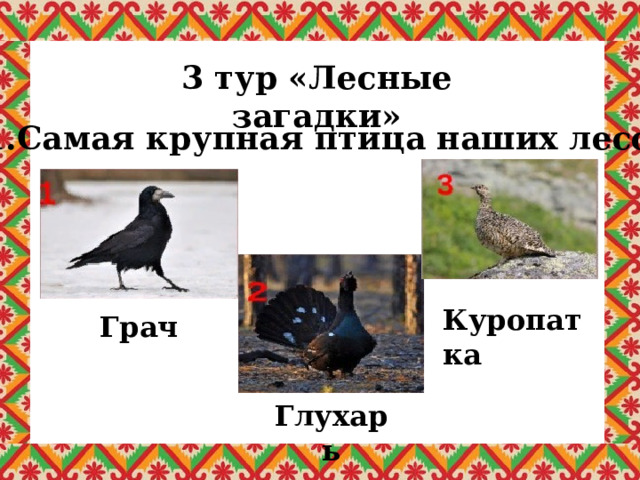 3 тур «Лесные загадки» 1.Самая крупная птица наших лесов? Куропатка Грач Глухарь 