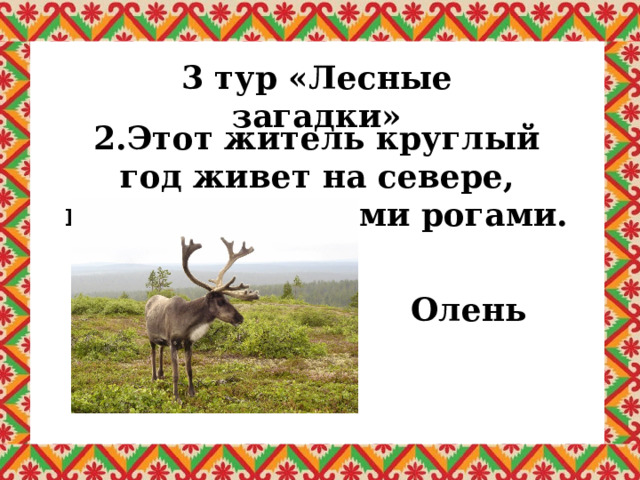 3 тур «Лесные загадки» 2.Этот житель круглый год живет на севере, прекрасен своими рогами. Олень 