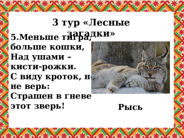 3 тур «Лесные загадки» 5.Меньше тигра, больше кошки, Над ушами – кисти-рожки. С виду кроток, но не верь: Страшен в гневе этот зверь! Рысь 