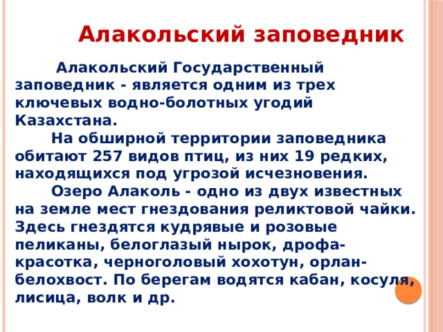 Алакольский заповедник  Алакольский Государственный заповедник - является одним из трех ключевых водно-болотных угодий Казахстана.  На обширной территории заповедника обитают 257 видов птиц, из них 19 редких, находящихся под угрозой исчезновения.  Озеро Алаколь - одно из двух известных на земле мест гнездования реликтовой чайки. Здесь гнездятся кудрявые и розовые пеликаны, белоглазый нырок, дрофа-красотка, черноголовый хохотун, орлан-белохвост. По берегам водятся кабан, косуля, лисица, волк и др. 