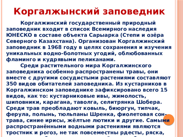 Коргалжынский заповедник  Коргалжинский государственный природный заповедник входит в список Всемирного наследия ЮНЕСКО в составе объекта Сарыарка (Степи и озёра Северного Казахстана). Организован Коргалжинский заповедник в 1968 году в целях сохранения и изучения уникальных водно-болотных угодий, облюбованных фламинго и кудрявыми пеликанами.  Среди растительного мира Коргалжинского заповедника особенно распространены травы, они вместе с другими сосудистыми растениями составляют 350 видов обитателей заповедника. Из кустарников в Коргалжинском заповеднике зафиксировано всего 15 видов, как то: кустарниковые ивы, жимолость, шиповники, карагана, таволга, селитрянка Шобера. Среди трав преобладают ковыль, биюргун, типчак, ферула, полынь, тюльпаны Шренка, фиолетовая сон-трава, синие ирисы, жёлтые лютики и другие. Самыми распространёнными водными растениями являются тростник и рогоз, не так повсеместны рдесты, ряска, пузырчатка, белые кувшинки и жёлтые кубышки. 