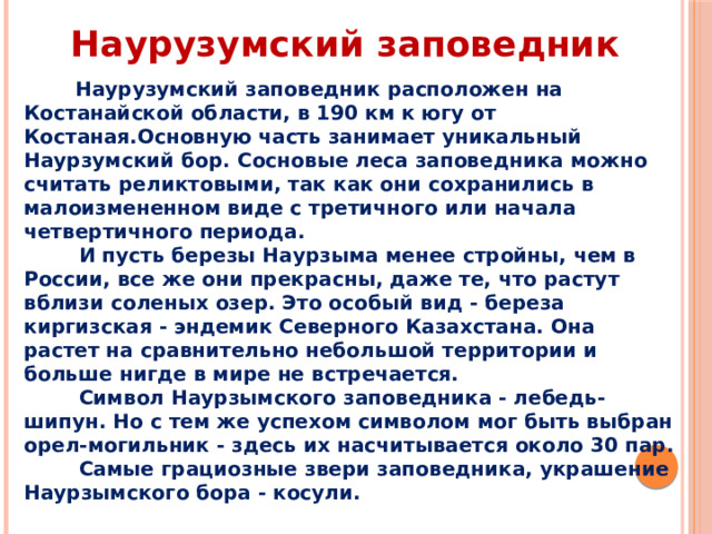 Наурузумский заповедник  Наурузумский заповедник расположен на Костанайской области, в 190 км к югу от Костаная.Основную часть занимает уникальный Наурзумский бор. Сосновые леса заповедника можно считать реликтовыми, так как они сохранились в малоизмененном виде с третичного или начала четвертичного периода.  И пусть березы Наурзыма менее стройны, чем в России, все же они прекрасны, даже те, что растут вблизи соленых озер. Это особый вид - береза киргизская - эндемик Северного Казахстана. Она растет на сравнительно небольшой территории и больше нигде в мире не встречается.  Символ Наурзымского заповедника - лебедь-шипун. Но с тем же успехом символом мог быть выбран орел-могильник - здесь их насчитывается около 30 пар.  Самые грациозные звери заповедника, украшение Наурзымского бора - косули. 