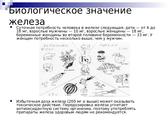 Биологическое значение железа Суточная потребность человека в железе следующая: дети — от 4 до 18 мг, взрослые мужчины — 10 мг, взрослые женщины — 18 мг, беременные женщины во второй половине беременности — 33 мг. У женщин потребность несколько выше, чем у мужчин.              Избыточная доза железа (200 мг и выше) может оказывать токсическое действие. Передозировка железа угнетает антиоксидантную систему организма, поэтому употреблять препараты железа здоровым людям не рекомендуется.  