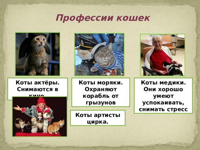 Профессии кошек Коты актёры. Снимаются в кино. Коты моряки. Охраняют корабль от грызунов Коты медики. Они хорошо умеют успокаивать, снимать стресс Коты артисты цирка. 