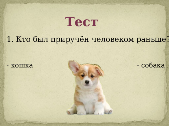 Тест 1. Кто был приручён человеком раньше? - кошка - собака 
