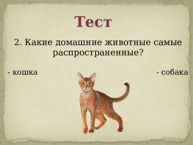 Тест 2. Какие домашние животные самые распространенные? - кошка - собака 