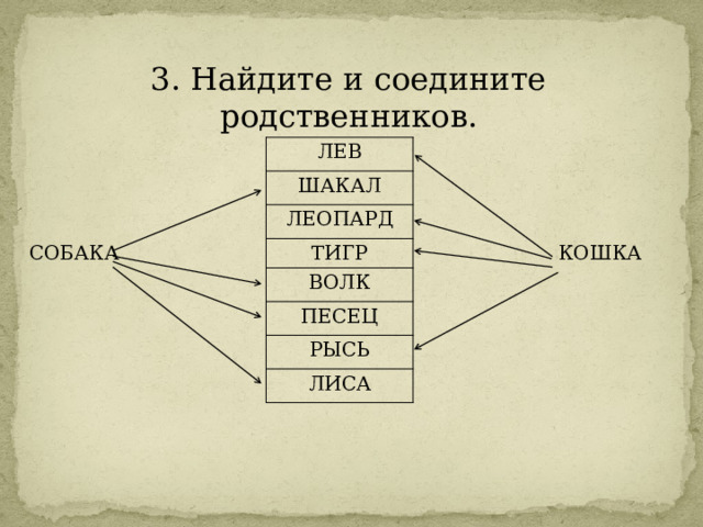 3. Найдите и соедините родственников. ЛЕВ ШАКАЛ ЛЕОПАРД СОБАКА ТИГР ВОЛК КОШКА ПЕСЕЦ РЫСЬ ЛИСА 