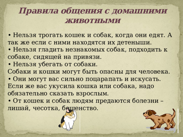 Правила общения с домашними животными • Нельзя трогать кошек и собак, когда они едят. А так же если с ними находятся их детеныши.  • Нельзя гладить незнакомых собак, подходить к собаке, сидящей на привязи.  • Нельзя убегать от собаки.  Собаки и кошки могут быть опасны для человека.  • Они могут вас сильно поцарапать и искусать. Если же вас укусила кошка или собака, надо обязательно сказать взрослым.  • От кошек и собак людям предаются болезни – лишай, чесотка, бешенство. 