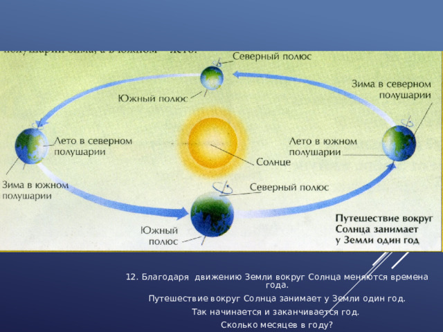 12. Благодаря движению Земли вокруг Солнца меняются времена года.  Путешествие вокруг Солнца занимает у Земли один год. Так начинается и заканчивается год. Сколько месяцев в году? 