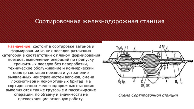 Сортировочная железнодорожная станция Назначение: состоит в сортировке вагонов и формировании из них поездов различных категорий в соответствии с планом формирования поездов, выполнении операций по пропуску транзитных поездов без переработки, техническое обслуживание и коммерческий осмотр составов поездов и устранение выявленных неисправностей вагонов, смена локомотивов и локомотивных бригад. На сортировочных железнодорожных станциях выполняются также грузовые и пассажирские операции, по объему и значимости не превосходящие основную работу. Схема Сортировочной станции 